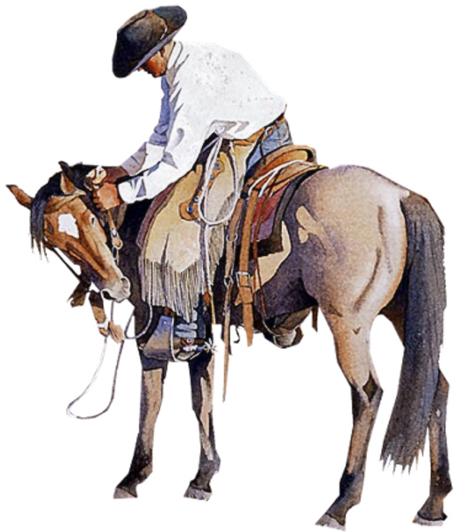 Ranch Rack Western Wear Clothing Displays keep your store rolling
